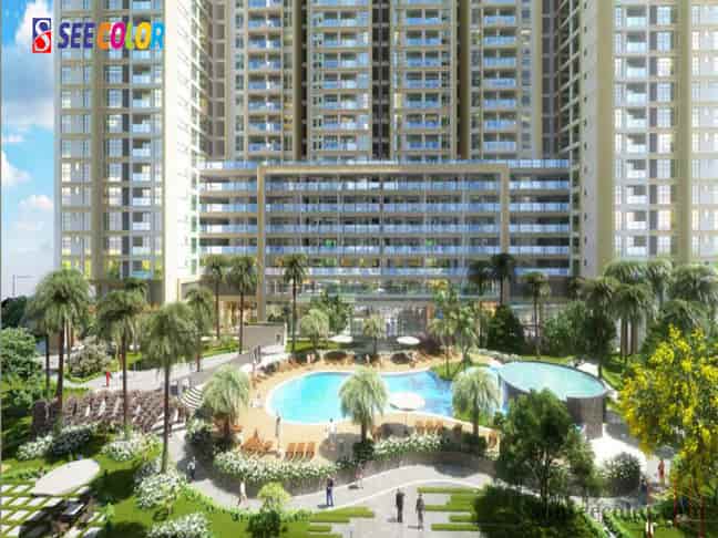 dự án sơn SEECOLOR 5